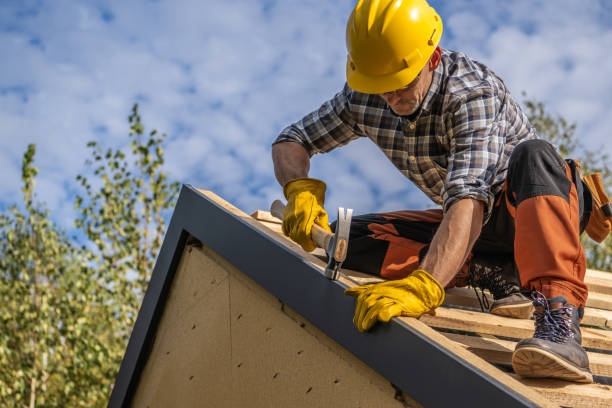 Best Skylight Installation and Repair  in Beverly, NJ